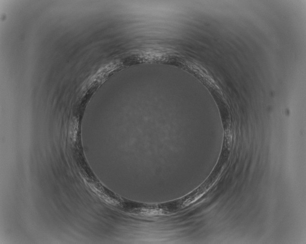 X0000085260458200703231719