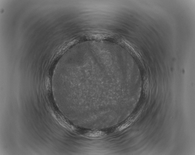 X0000085260459200703231719