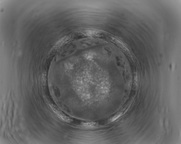 X0000085260461200703231720