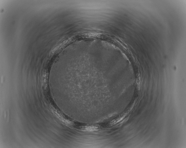 X0000085260462200703231720