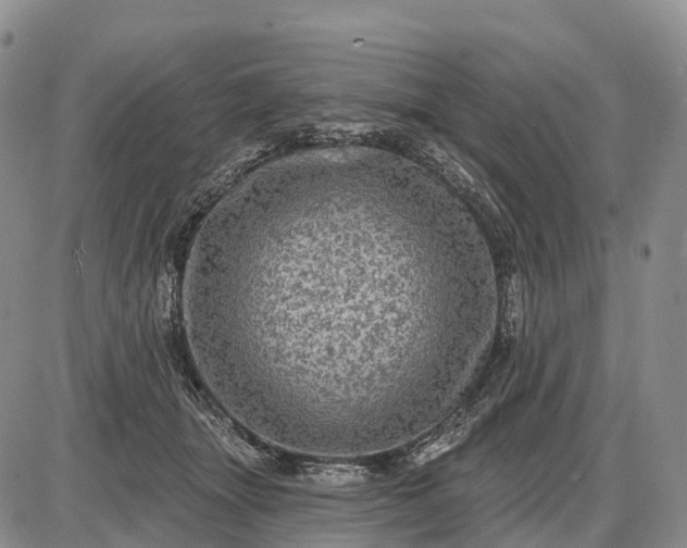 X0000085260463200703231720