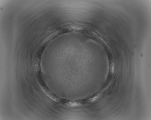 X0000085260464200703231720