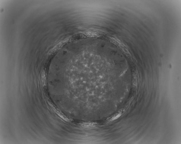 X0000085260465200703231720