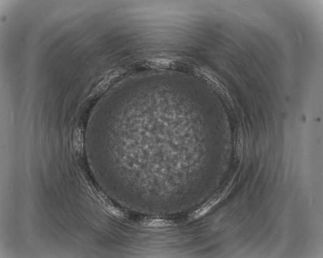 X0000085260467200703231720