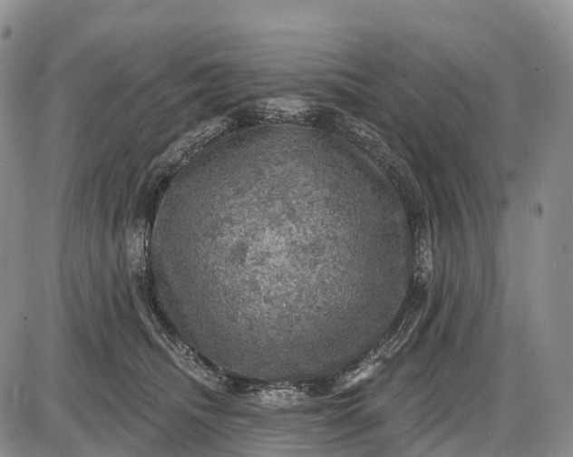 X0000085260468200703231720