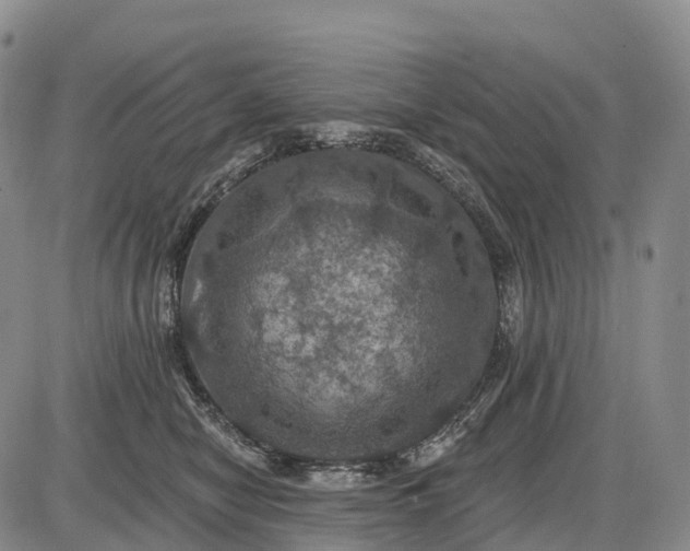 X0000085260470200703231720