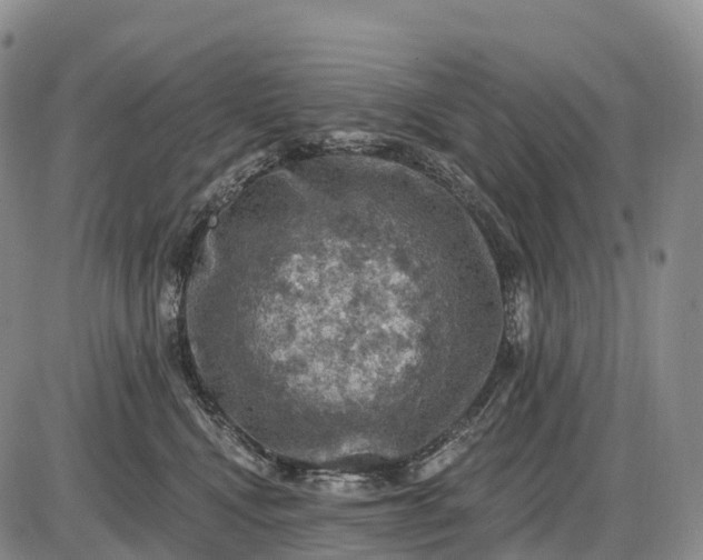 X0000085260472200703231720