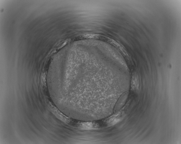 X0000085260473200703231720