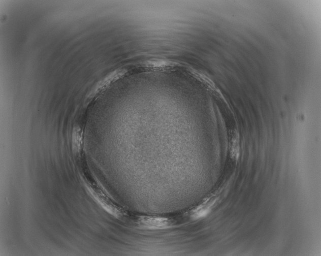 X0000085260476200703231720