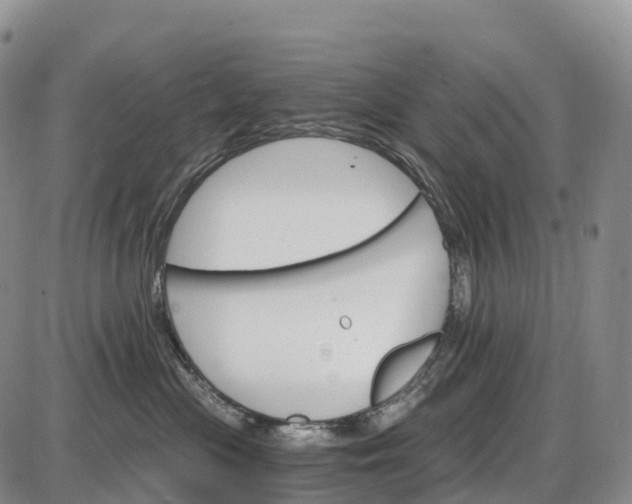 X0000085260477200703231720