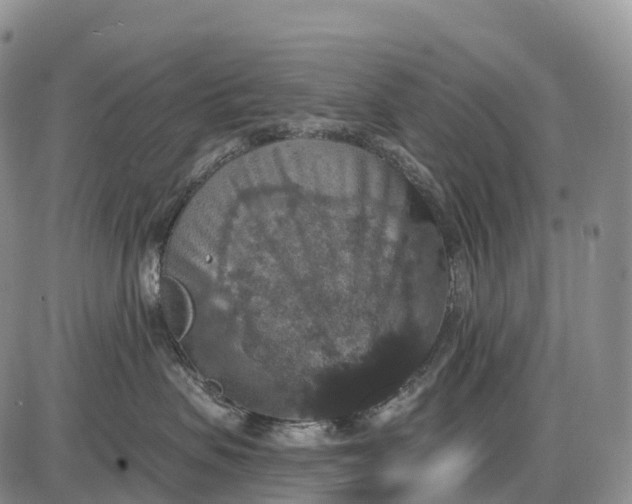 X0000085260479200703231720