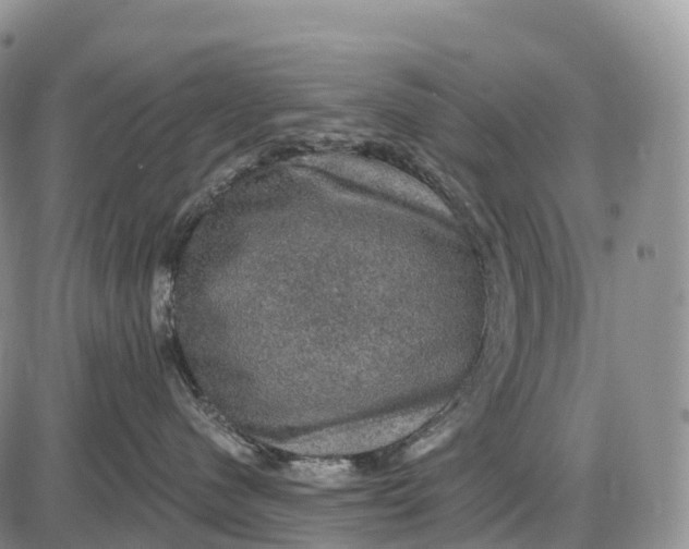 X0000085260480200703231720