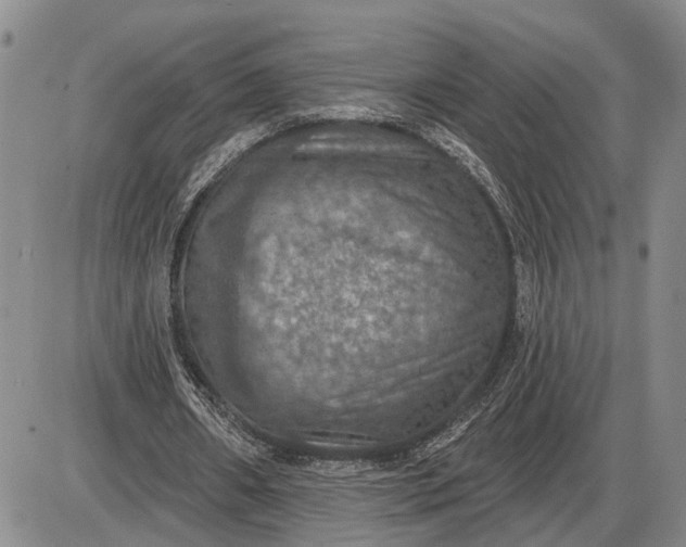 X0000085260482200703231719