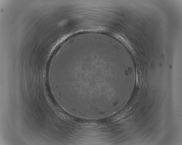 X0000085260483200703231719