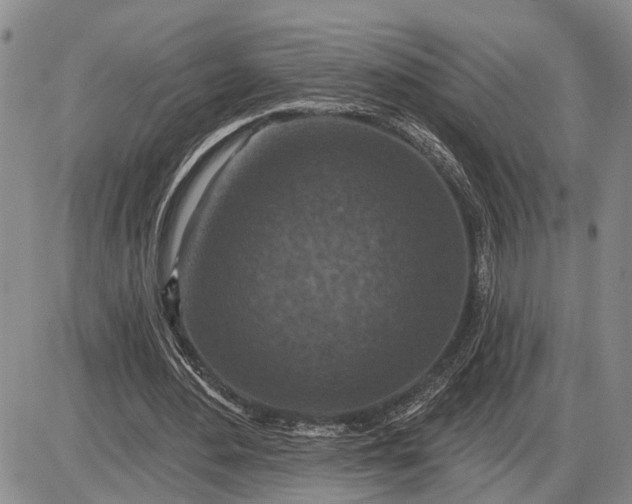 X0000085260484200703231719