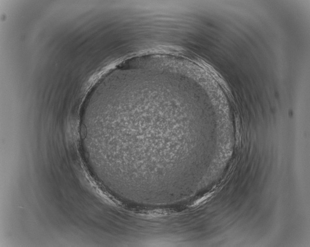 X0000085260485200703231719