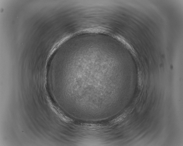 X0000085260486200703231719