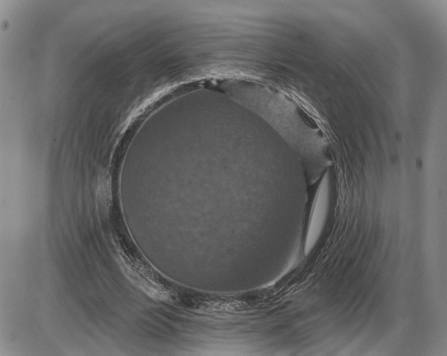 X0000085260488200703231719