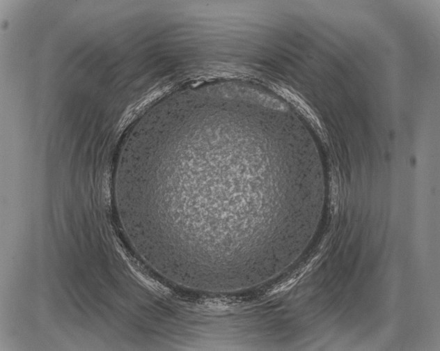 X0000085260489200703231719