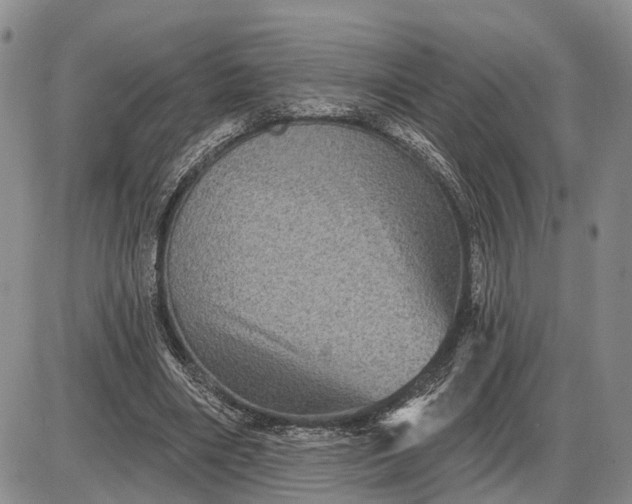 X0000085260490200703231719