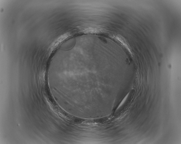 X0000085260491200703231719