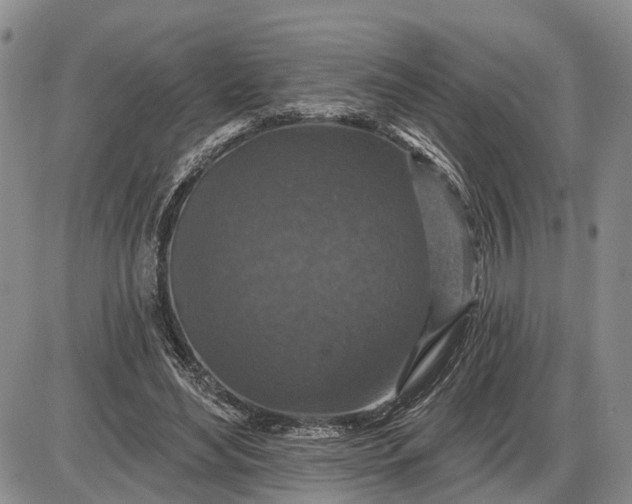 X0000085260492200703231719