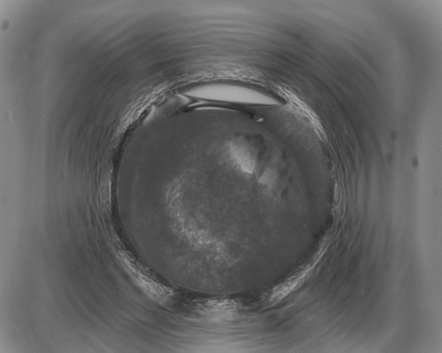 X0000085260493200703231719