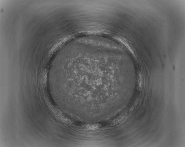 X0000085260495200703231719