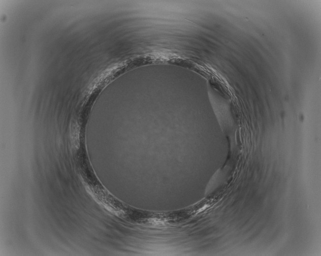 X0000085260496200703231719