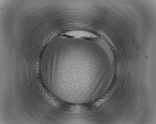 X0000085260497200703231719