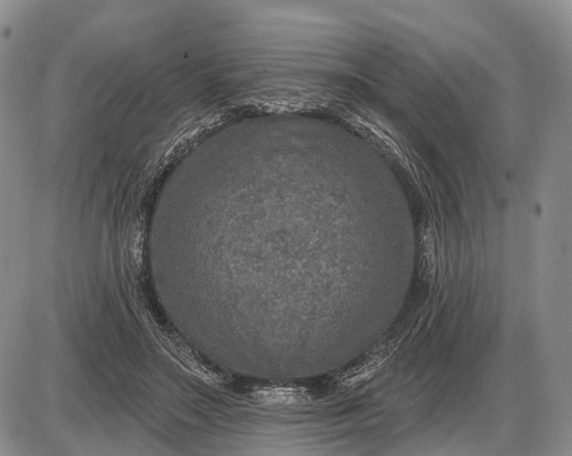 X0000085260499200703231719