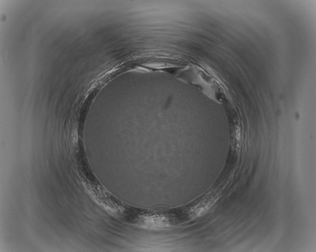 X0000085260500200703231719