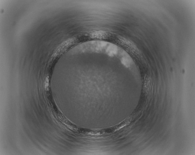 X0000085260502200703231719