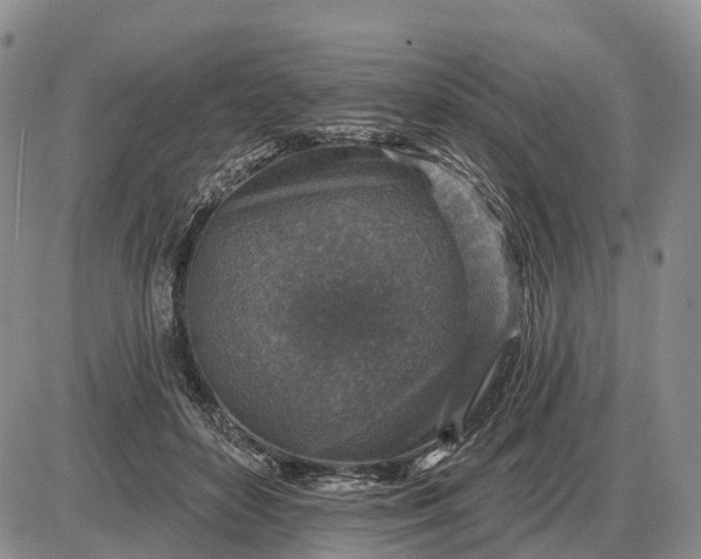 X0000085260504200703231719