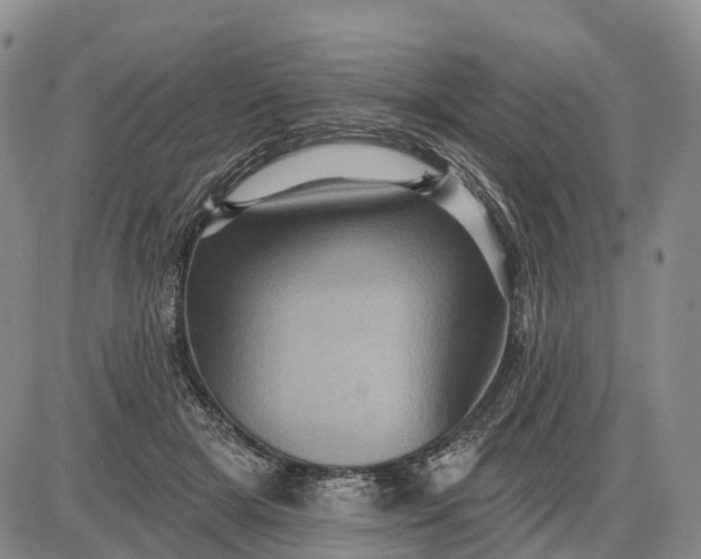 X0000085260505200703231719