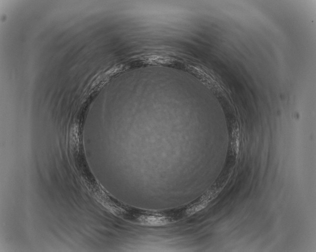 X0000085260506200703231719