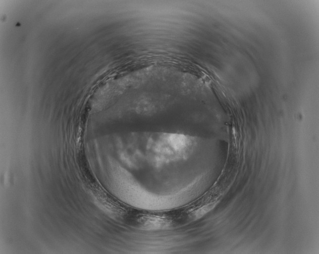 X0000085260507200703231719