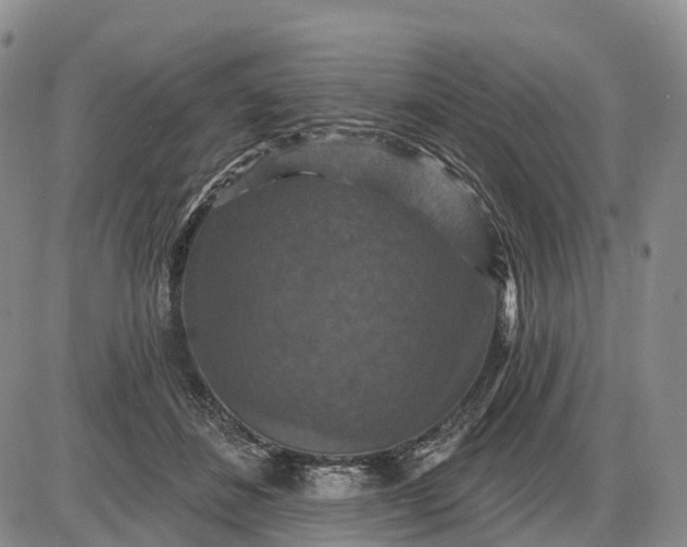 X0000085260508200703231719