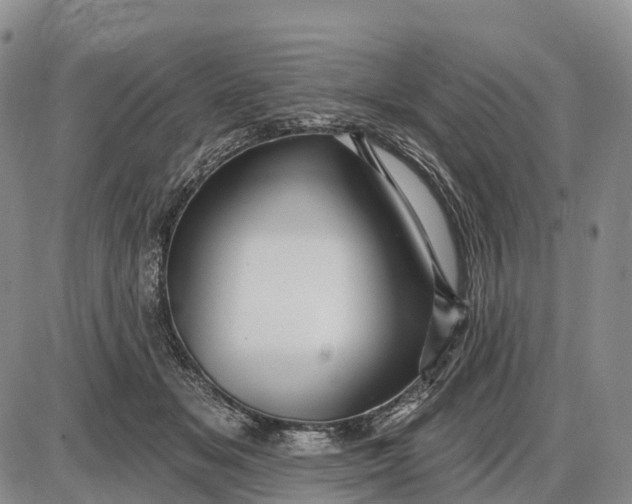 X0000085260509200703231719