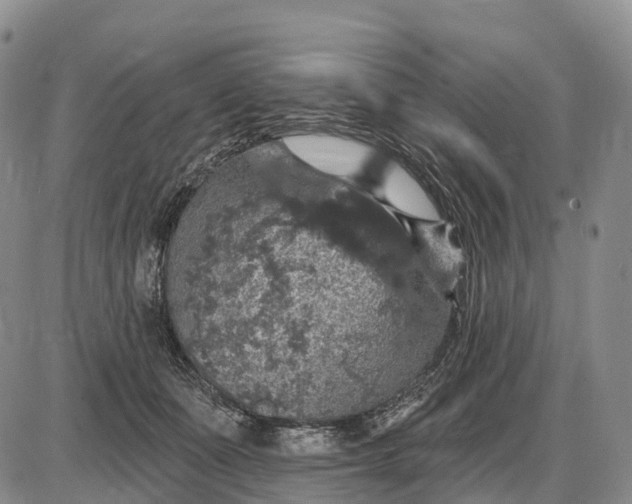 X0000085260511200703231719