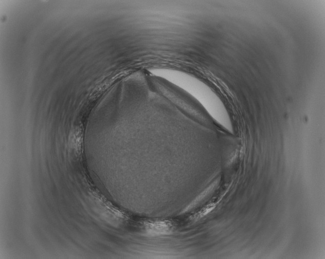 X0000085260513200703231719