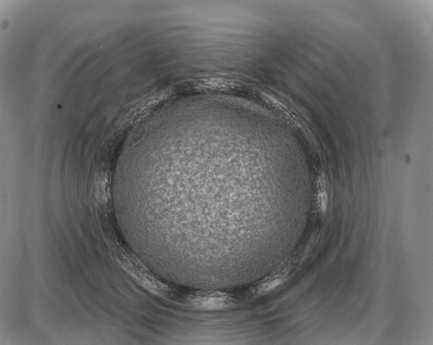 X0000085260514200703231718