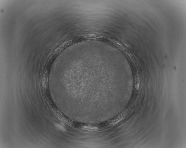 X0000085260515200703231718