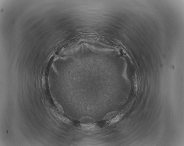 X0000085260516200703231718