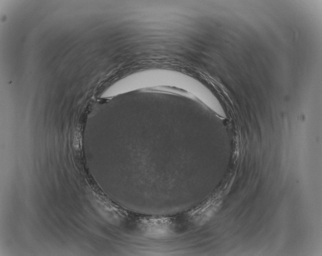 X0000085260517200703231718