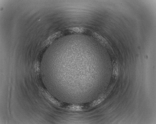 X0000085260518200703231718