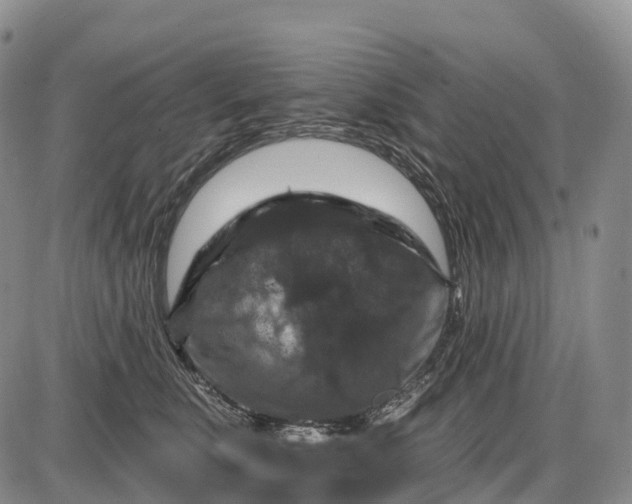 X0000085260519200703231718