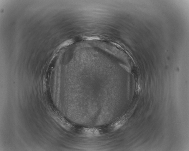 X0000085260520200703231718