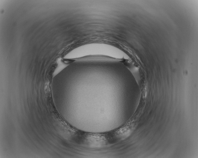 X0000085260521200703231718