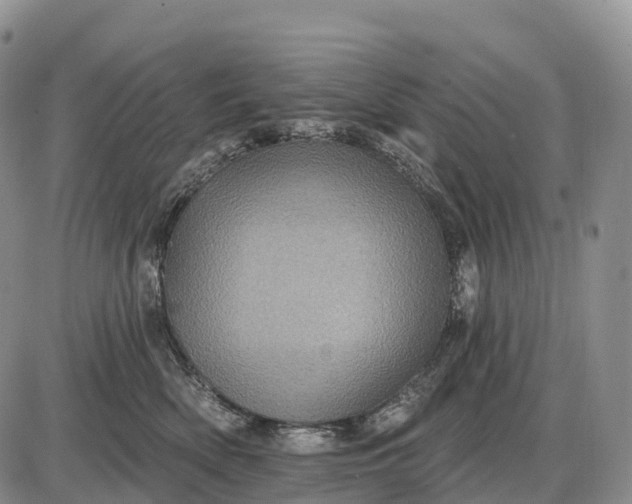 X0000085260522200703231718